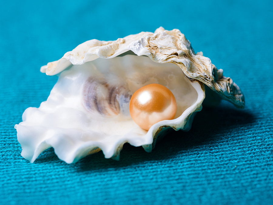 Finding pearls as metaphor for nonprofit communications discovery