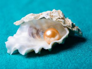 Still life of pearl in small shell illustrates the discovery component of nonprofit communications services.