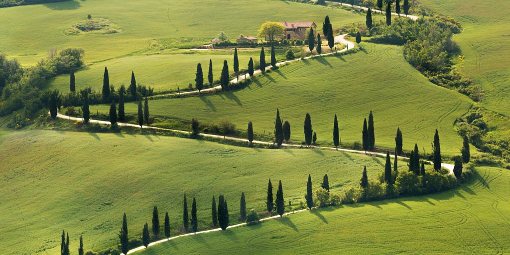 A photo of a road winding up green hill symbolizes the value of honoring the donor's journey from stranger to donor.